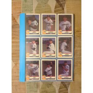 1993 Albany Polecats Fleer/ProCards TEAM SET